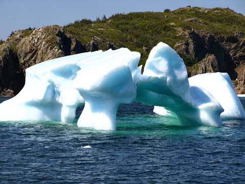 Twillingate Adventure Tours